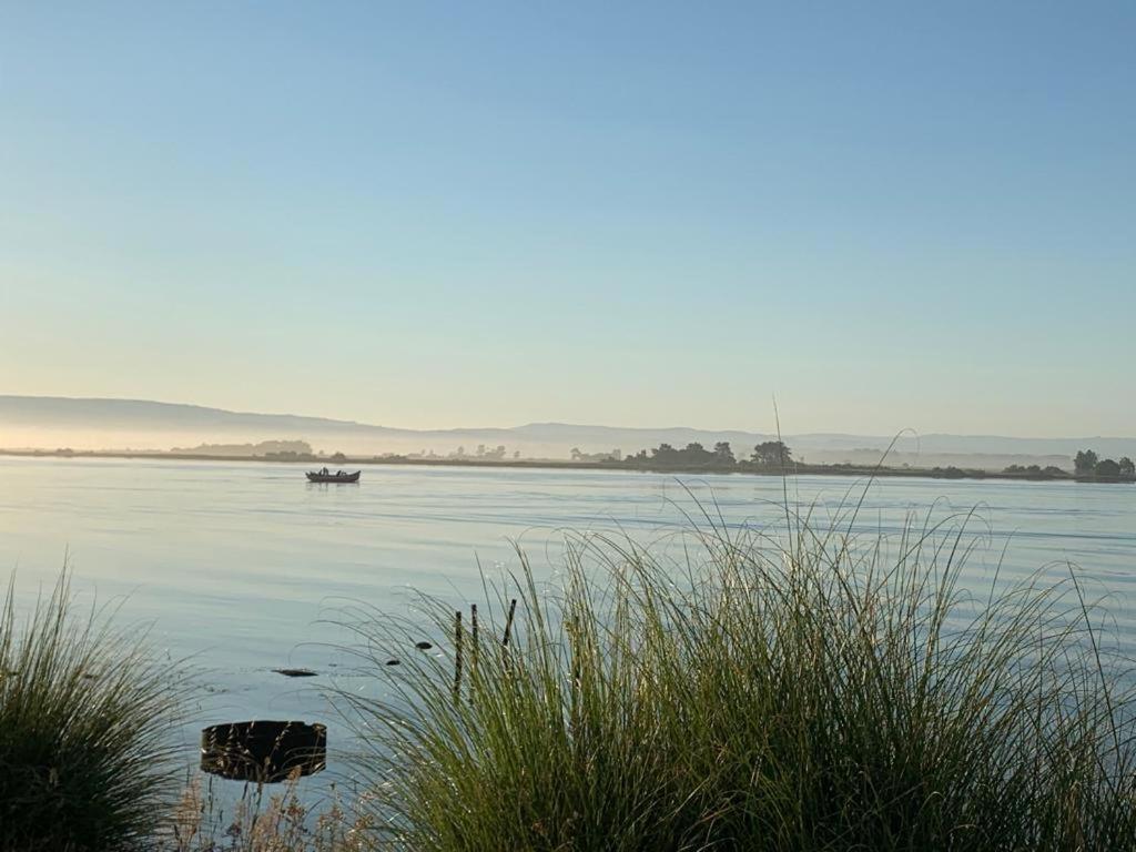 O Cantinho Entre A Ria E O Mar - With Hot Water Pool All Year Round Торрейра Экстерьер фото