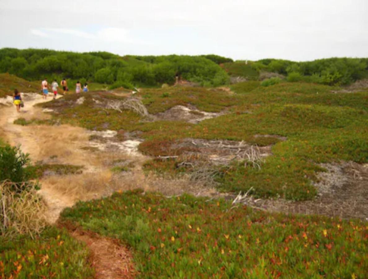 O Cantinho Entre A Ria E O Mar - With Hot Water Pool All Year Round Торрейра Экстерьер фото